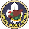 Grupo Scout 258